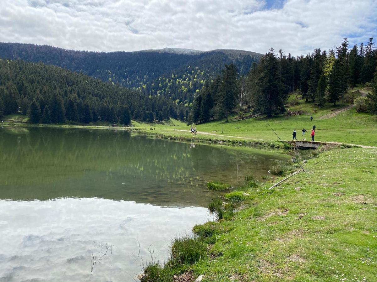 Gite Chaleureux Au Lac De Payolle Campan Exteriör bild