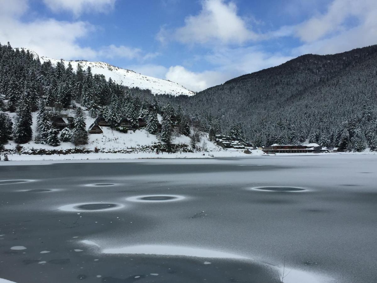 Gite Chaleureux Au Lac De Payolle Campan Exteriör bild